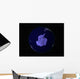 Full Earth Night Showing Wall Decal Design 8