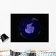 Full Earth Night Showing Wall Decal Design 8