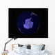 Full Earth Night Showing Wall Decal Design 8