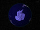 Full Earth Night Showing Wall Decal Design 8