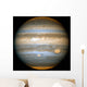 Jupiter Wall Decal Design 1