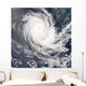 Tropical Cyclone Carina Wall Decal