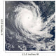 Tropical Cyclone Carina Wall Decal