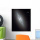 Disk Galaxy Ngc 5866 Wall Decal