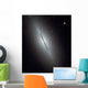 Disk Galaxy Ngc 5866 Wall Decal