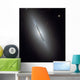 Disk Galaxy Ngc 5866 Wall Decal