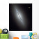 Disk Galaxy Ngc 5866 Wall Decal