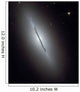 Disk Galaxy Ngc 5866 Wall Decal