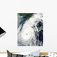 Typhoon Rusa Wall Decal Design 2