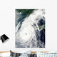 Typhoon Rusa Wall Decal Design 2
