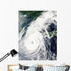 Typhoon Rusa Wall Decal Design 2
