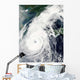 Typhoon Rusa Wall Decal Design 2