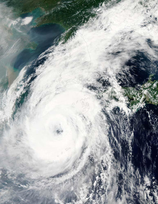 Typhoon Rusa Wall Decal Design 2