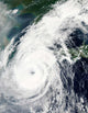 Typhoon Rusa Wall Decal Design 2