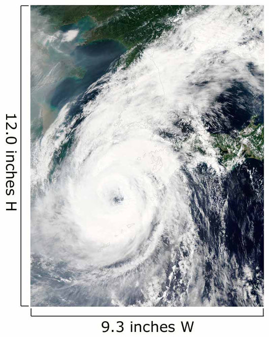 Typhoon Rusa Wall Decal Design 2