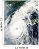 Typhoon Rusa Wall Decal Design 2