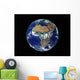 Full Earth Showing Africa Wall Decal Design 2