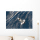 Space Shuttle Discovery Orbit Wall Decal