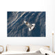 Space Shuttle Discovery Orbit Wall Decal