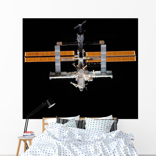International Space Station Wall Decal Design 9