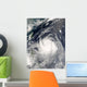 Typhoon Ewiniar Wall Decal