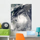 Typhoon Ewiniar Wall Decal