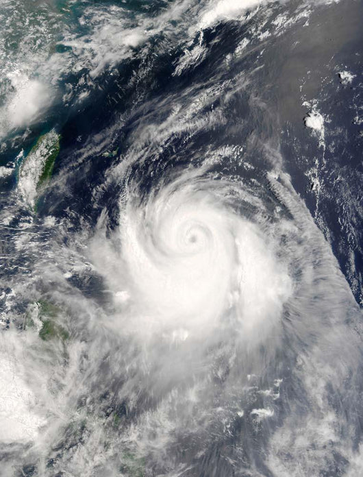 Typhoon Ewiniar Wall Decal