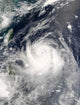 Typhoon Ewiniar Wall Decal