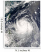 Typhoon Ewiniar Wall Decal