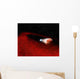 Debris Disk around Unusual Wall Decal