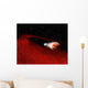 Debris Disk around Unusual Wall Decal