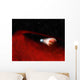 Debris Disk around Unusual Wall Decal