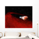 Debris Disk around Unusual Wall Decal