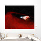 Debris Disk around Unusual Wall Decal