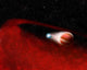 Debris Disk around Unusual Wall Decal
