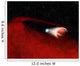 Debris Disk around Unusual Wall Decal