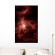 Orion's Inner Beauty Wall Decal