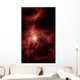Orion's Inner Beauty Wall Decal