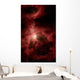 Orion's Inner Beauty Wall Decal