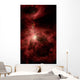 Orion's Inner Beauty Wall Decal