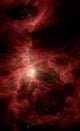 Orion's Inner Beauty Wall Decal