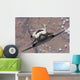 Space Shuttle Discovery Wall Decal Design 2