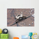 Space Shuttle Discovery Wall Decal Design 2