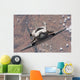 Space Shuttle Discovery Wall Decal Design 2