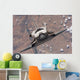 Space Shuttle Discovery Wall Decal Design 2