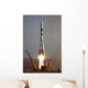 Soyuz Tma-9 Spacecraft Launches Wall Decal