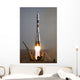 Soyuz Tma-9 Spacecraft Launches Wall Decal