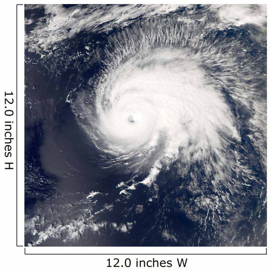Hurricane Gordon Wall Decal Design 1