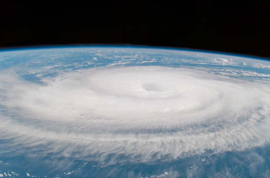 Hurricane Gordon Wall Decal Design 2