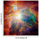 Orion Nebula Wall Decal Design 3